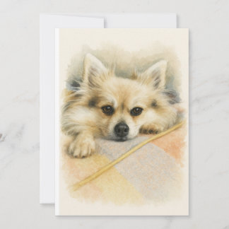 Tarjeta De Agradecimiento Retrato de perro Chihuahua Pomerania a la acuarela