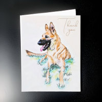 Retrato de perro del Pastor Alemán Malinois