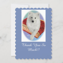 Retrato de Samoyed,Tarjeta de felicitación plana c