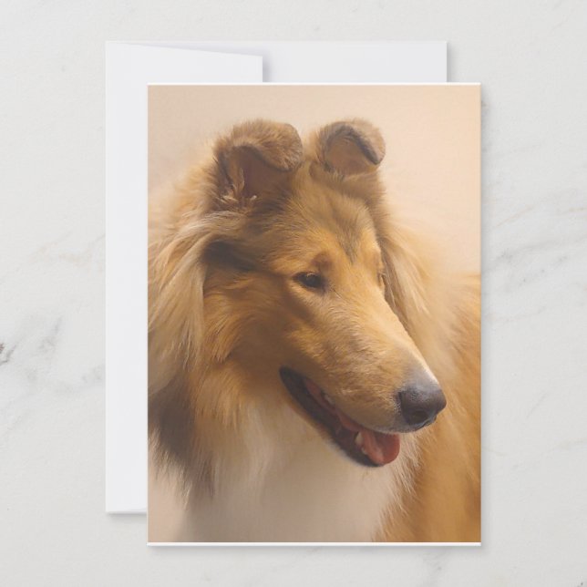 Tarjeta De Agradecimiento Retrato de un collie tosca (Anverso)