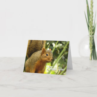Tarjeta De Agradecimiento Retrato de una fotografía animal de la naturaleza