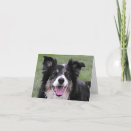 Tarjeta De Agradecimiento Retrato del border collie