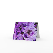 Rhododendron alemán