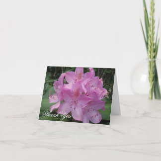 Tarjeta De Agradecimiento Rhody rosado le agradece