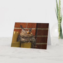 Tarjeta De Agradecimiento Robin en Nest