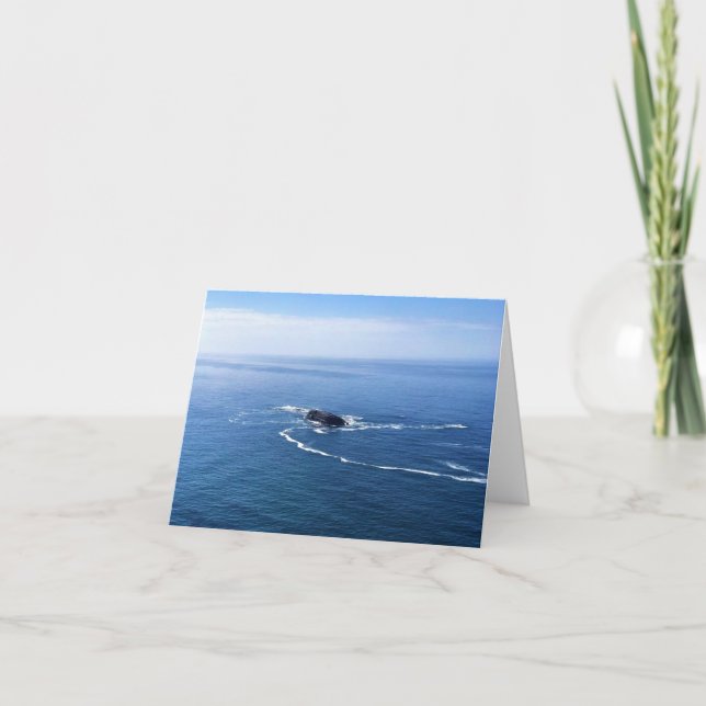 Tarjeta De Agradecimiento Roca Otter, Cabo Foulweather, Newport, Oregón (Anverso)