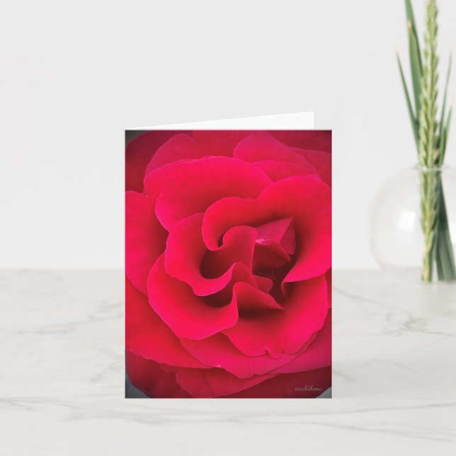 Tarjeta De Agradecimiento Rojo rosa, cerrar (Anverso)