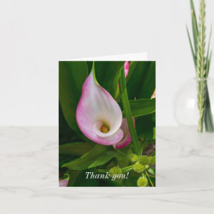 Tarjeta de agradecimiento - Rollo de cala