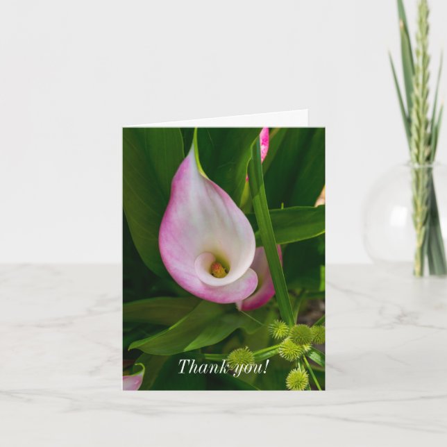 Tarjeta de agradecimiento - Rollo de cala (Anverso)
