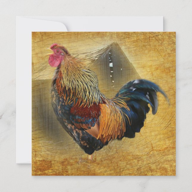 Tarjeta De Agradecimiento Rooster Rustic Barn (Anverso)