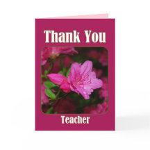 Rosa Azalea Gracias Blank