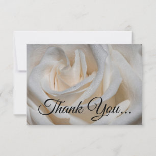 Tarjeta De Agradecimiento Rosa blanca 7127 con dew