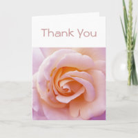 Rosa del Jardín Inglés Rosa y Rosa