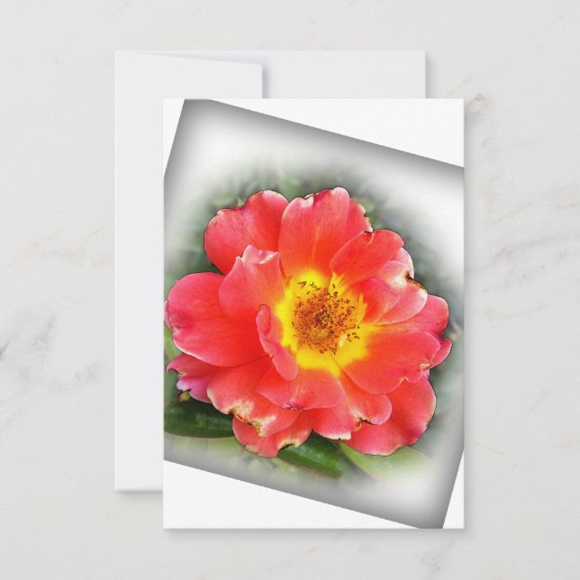 Tarjeta De Agradecimiento Rosa en otoño (Anverso)