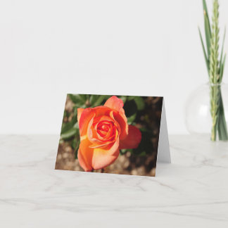 Tarjeta De Agradecimiento Rosa Naranja