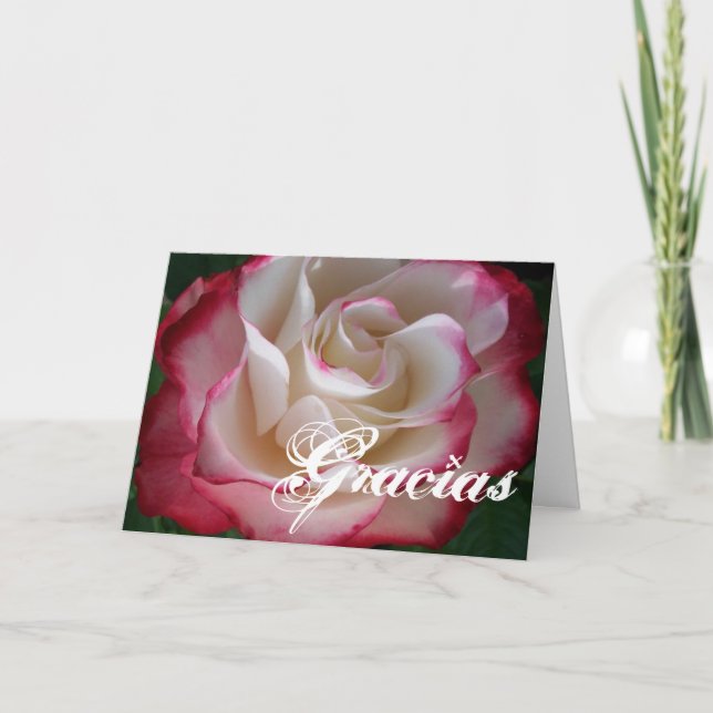 Tarjeta De Agradecimiento Rosa rojo y blanco Gracias (Anverso)