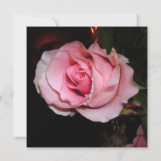 Tarjeta De Agradecimiento Rosa Rosa Preciosa (Anverso)