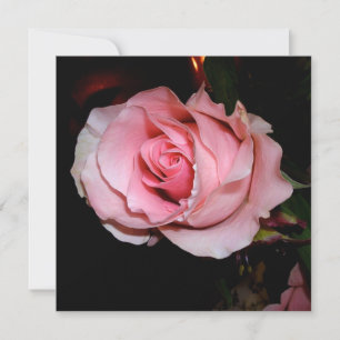 Tarjeta De Agradecimiento Rosa Rosa Preciosa