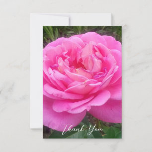 Tarjeta De Agradecimiento Rosa rosa romántica 'Leonardo Da Vinci'   