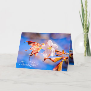 Tarjeta De Agradecimiento Rosa Sakura Flower Blue Sky