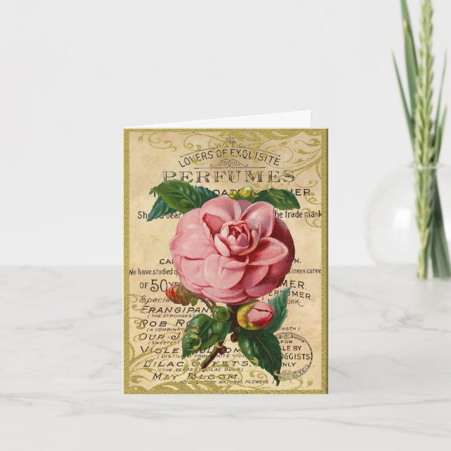 Tarjeta De Agradecimiento Rosas franceses antiguos (Anverso)