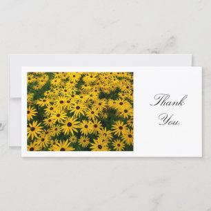 Tarjeta De Agradecimiento Rudbeckia Hirta (Susans de ojos negros) - Gracias