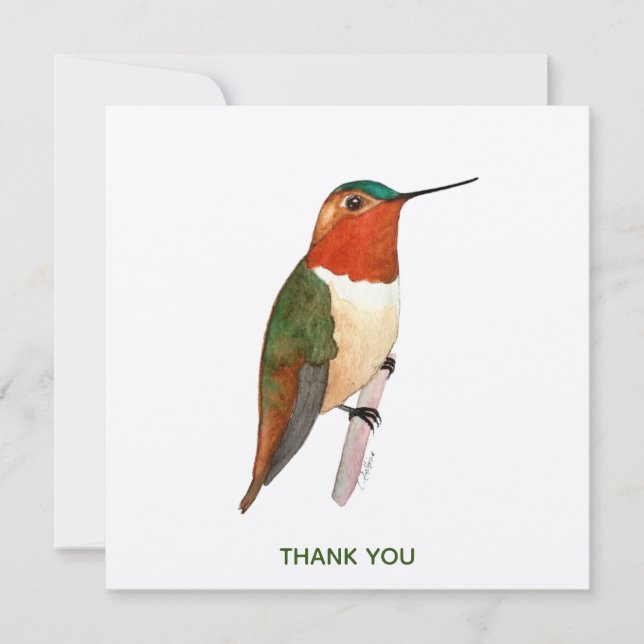 Tarjeta De Agradecimiento Rufous Hummingbird (Anverso)