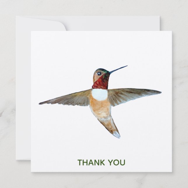 Tarjeta De Agradecimiento Rufous Hummingbird (Anverso)