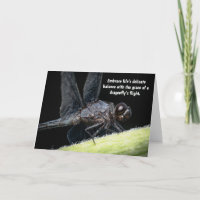 "Sabiduría alada - La historia de la libélula"