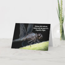 "Sabiduría alada - La historia de la libélula"