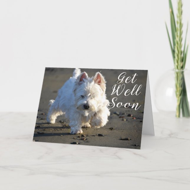 Tarjeta De Agradecimiento Salir Bien Pronto Beachcombing Westie Photo Card (Anverso)