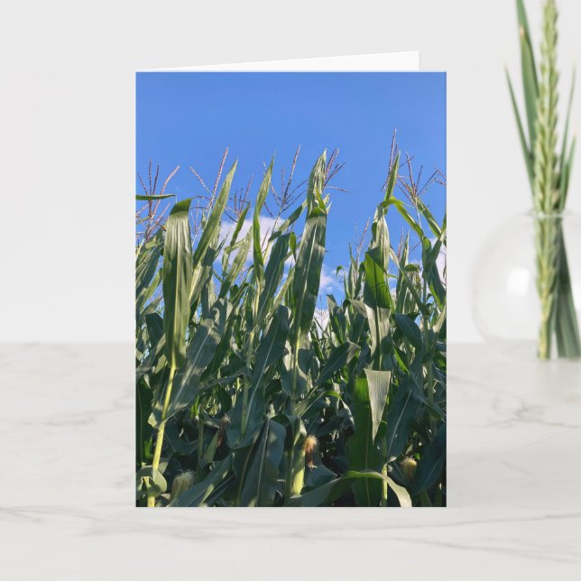 Tarjeta De Agradecimiento Saltos de maíz en blanco (Anverso)