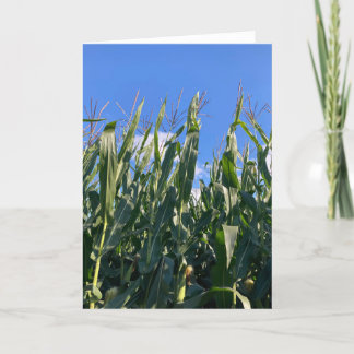 Tarjeta De Agradecimiento Saltos de maíz en blanco