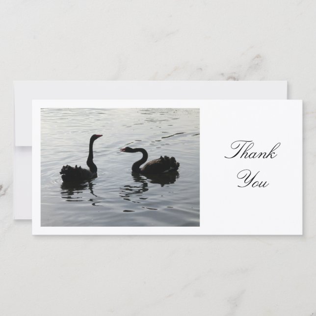Tarjeta De Agradecimiento Saludo de los Cisne Negros - Gracias (Anverso)