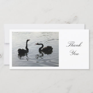 Tarjeta De Agradecimiento Saludo de los Cisne Negros - Gracias
