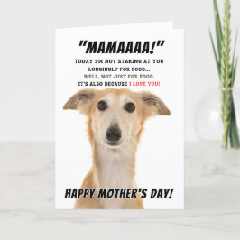 Tarjeta De Agradecimiento Saluki Día de la Madre desea