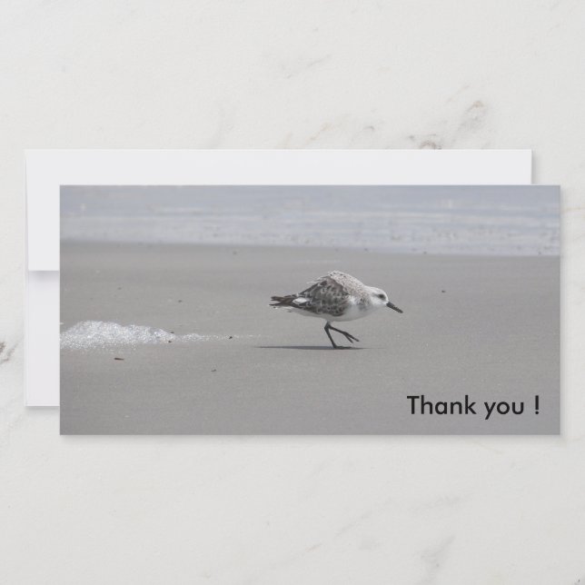 Tarjeta De Agradecimiento ¡Sanderling, gracias! (Anverso)