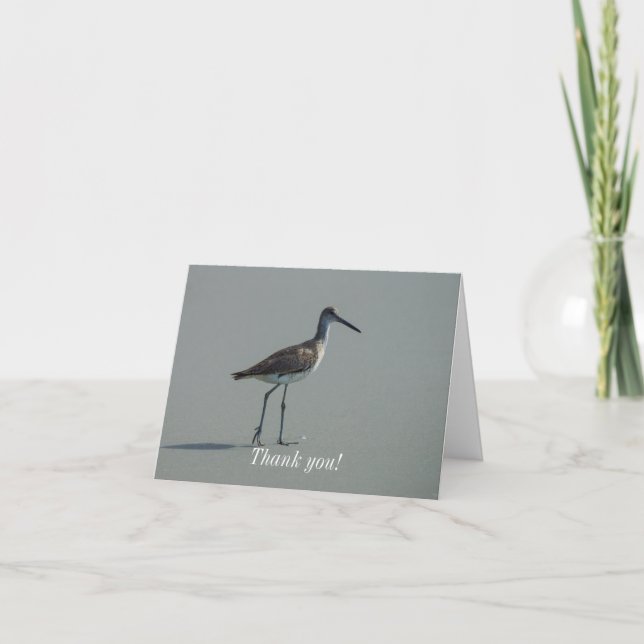 Tarjeta De Agradecimiento Sandpiper Pose (Anverso)