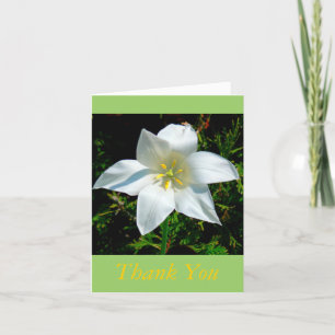 TARJETA DE AGRADECIMIENTO SATINY BLANCO FLOWER/GRACIAS TARJETA/FOTOG.