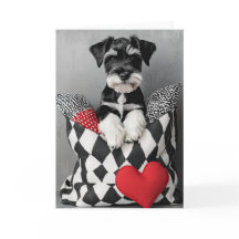 Schnauzer Puppy Valentcard
