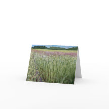 SCN de Santa Cruz de Savannah - Prairie