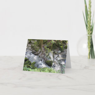Tarjeta De Agradecimiento Secuoyas que caen en cascada sobre rocas notecard