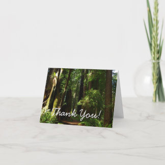 Tarjeta De Agradecimiento Secuoyas y helechos en el Parque Nacional Redwood