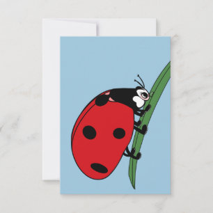 Tarjeta De Agradecimiento Sed Ladybug