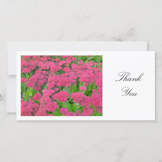 Tarjeta De Agradecimiento Sedum (Alegría de Otoño) - Gracias