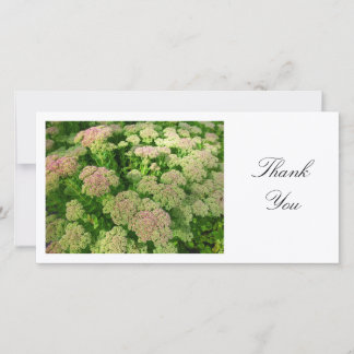Tarjeta De Agradecimiento Sedum "Alegría del otoño" - Gracias