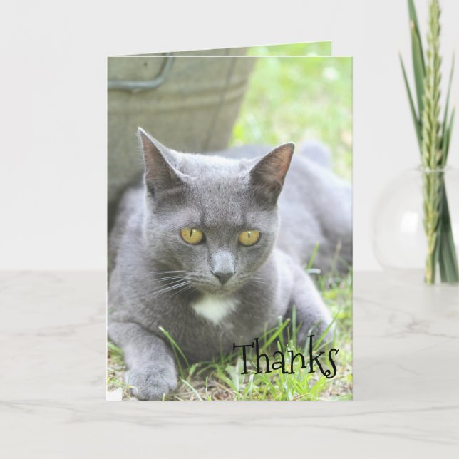 Tarjeta De Agradecimiento Shabby Chic Card (Anverso)