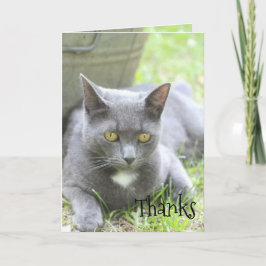 Tarjeta De Agradecimiento Shabby Chic Card