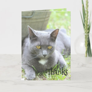 Tarjeta De Agradecimiento Shabby Chic Card