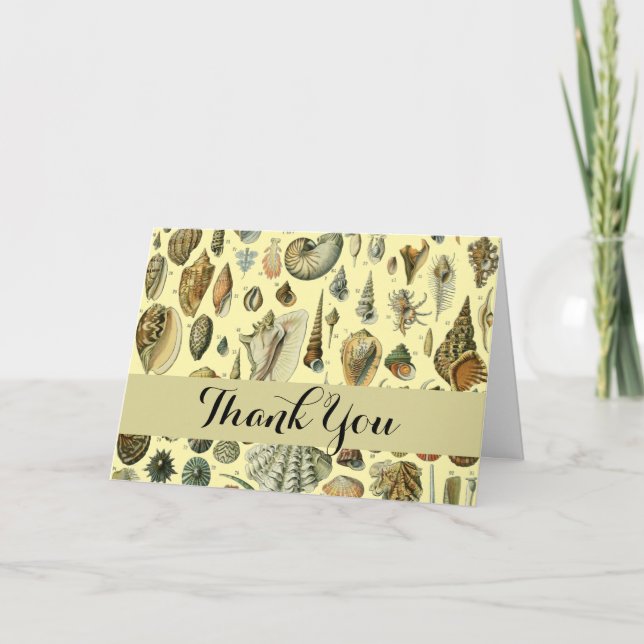 Tarjeta De Agradecimiento Shell de conchas marinas Mollusk Clam Elegante Art (Anverso)